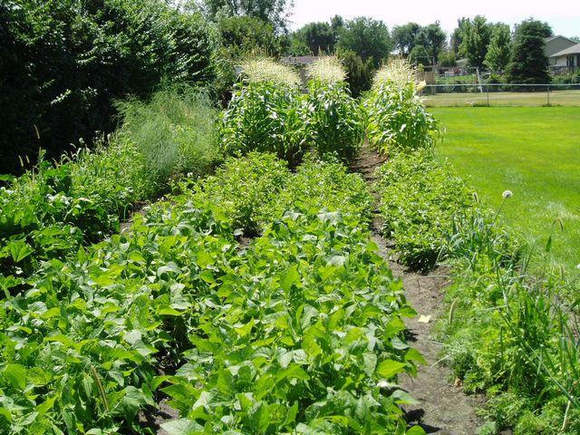 click to see full size