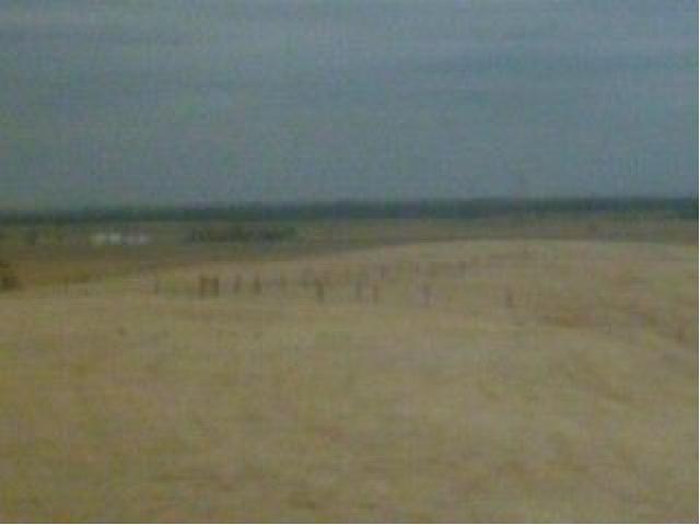 click to see full size