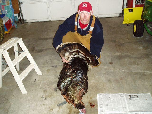 click to see full size