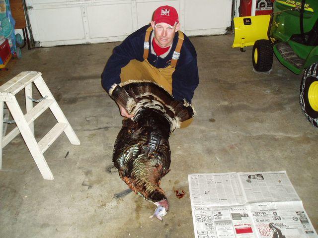 click to see full size