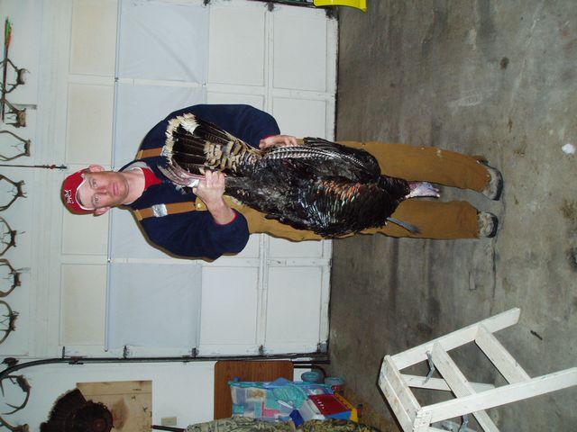 click to see full size