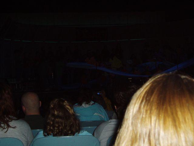 click to see full size