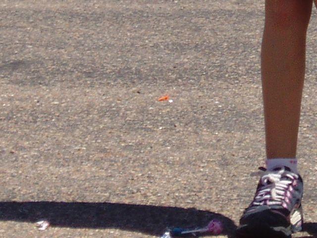 click to see full size