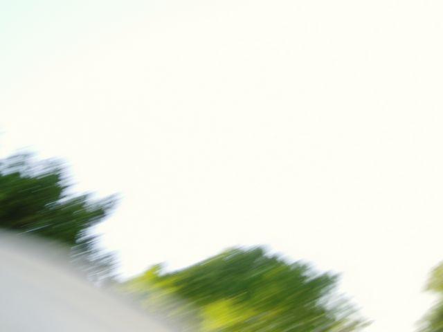 click to see full size