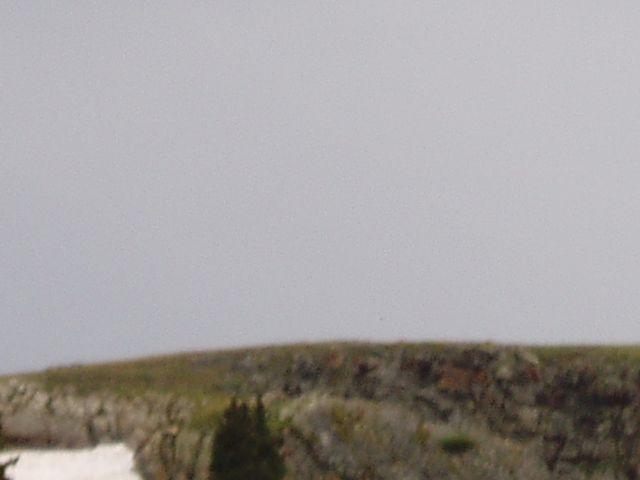 click to see full size