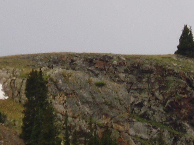 click to see full size