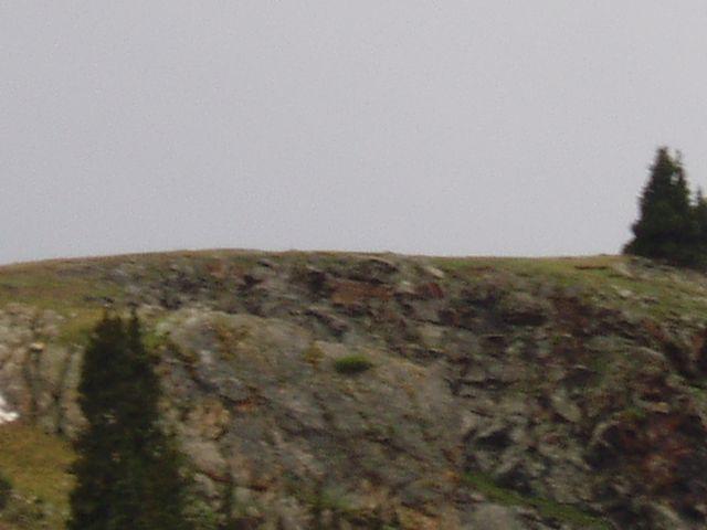 click to see full size