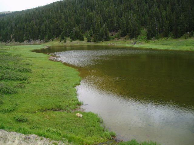 click to see full size