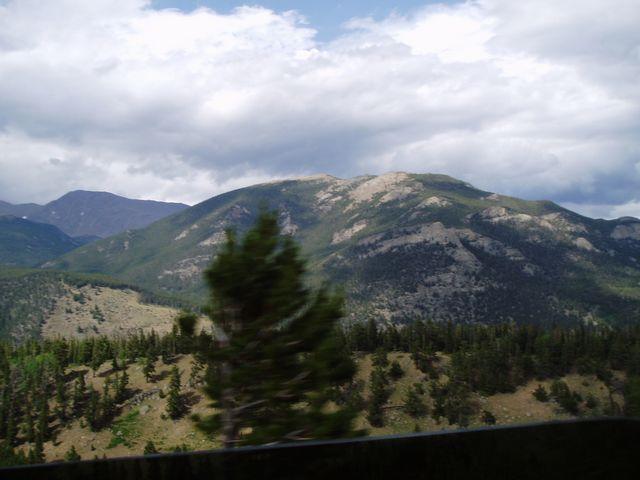 click to see full size