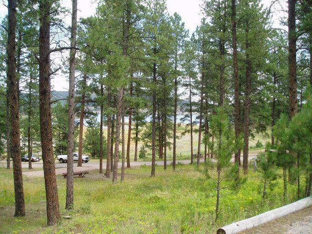 click to see full size