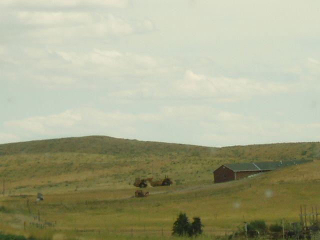 click to see full size