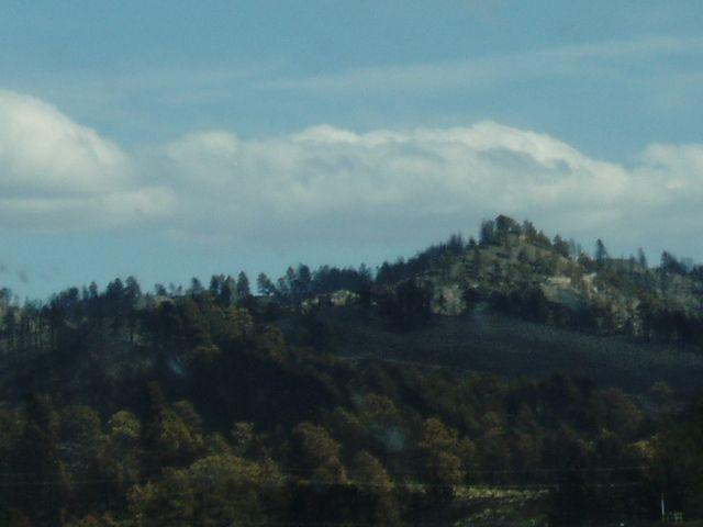 click to see full size