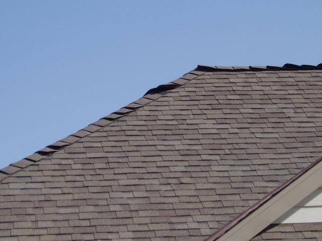 click to see full size