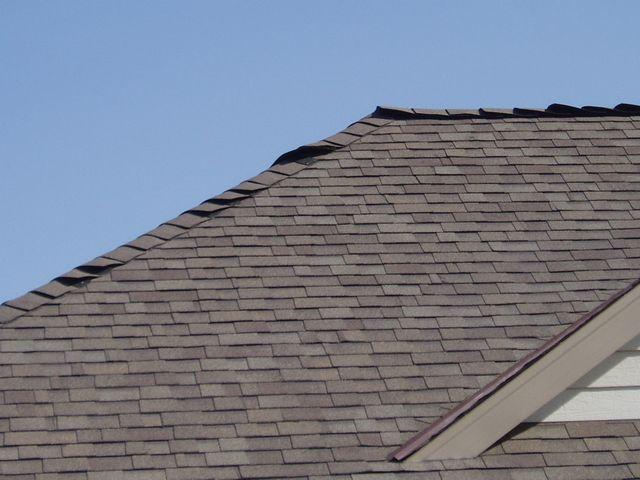 click to see full size