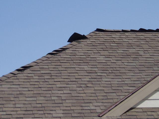 click to see full size