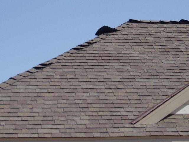 click to see full size