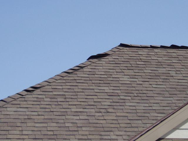 click to see full size