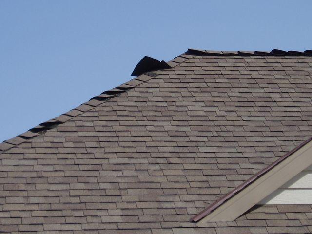 click to see full size