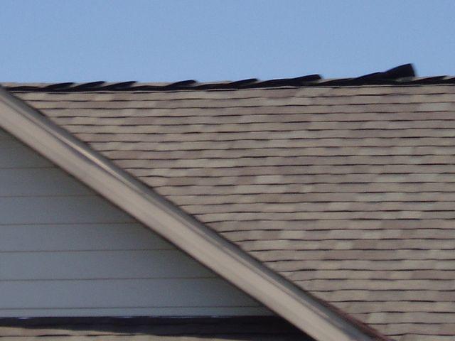 click to see full size