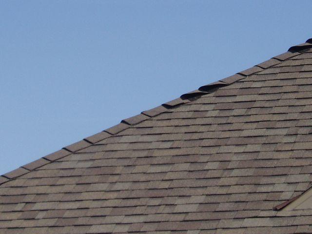 click to see full size