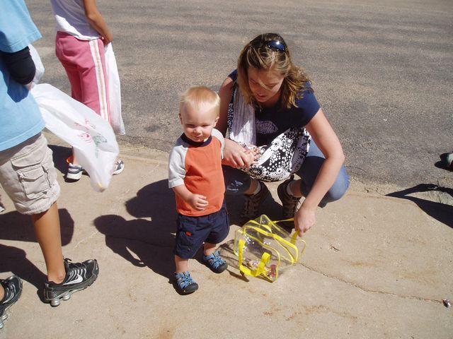 click to see full size