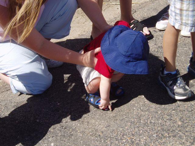 click to see full size