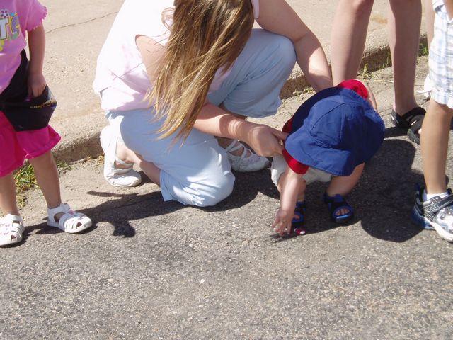 click to see full size