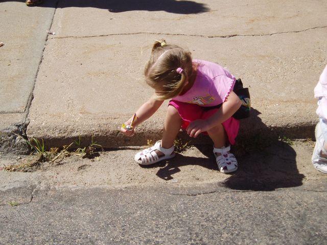 click to see full size