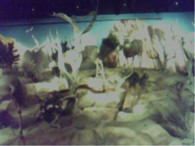 click to see full size