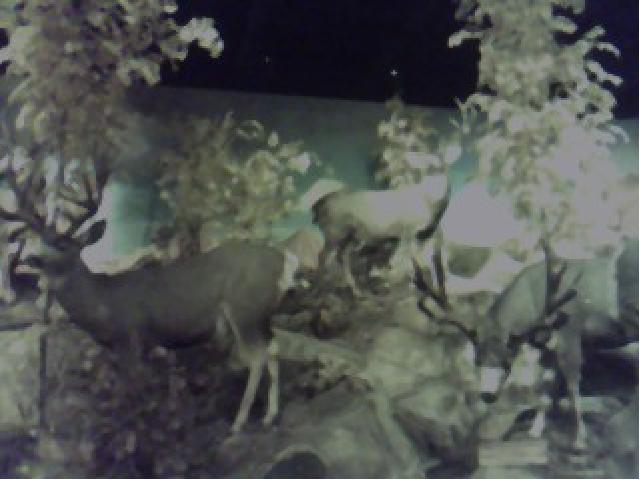 click to see full size