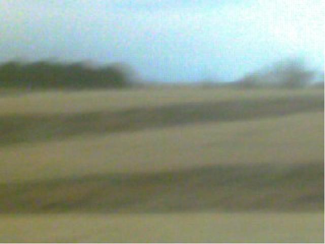 click to see full size