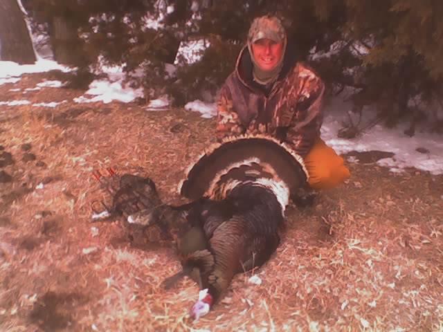 click to see full size