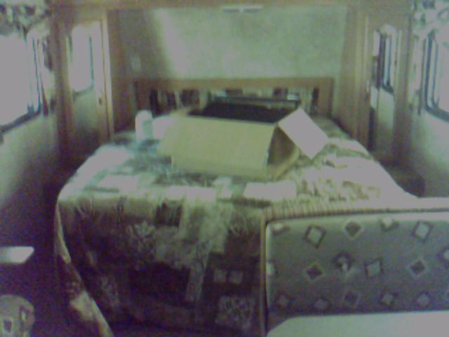 click to see full size