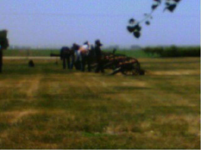 click to see full size