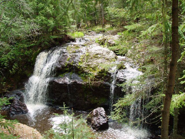 click to see full size