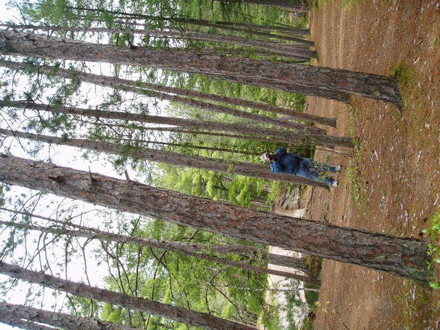 click to see full size