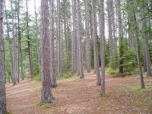 click to see full size