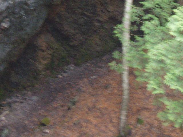 click to see full size