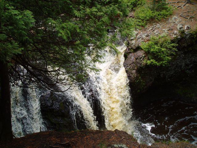 click to see full size