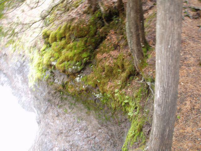 click to see full size