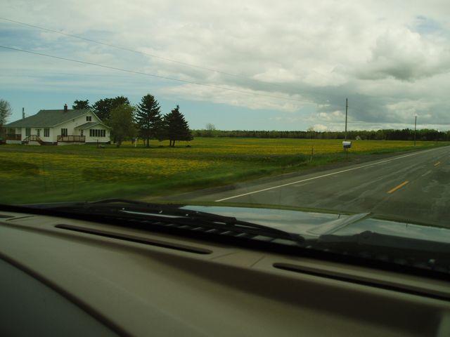 click to see full size