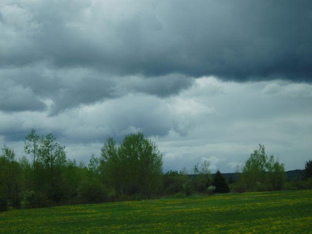 click to see full size