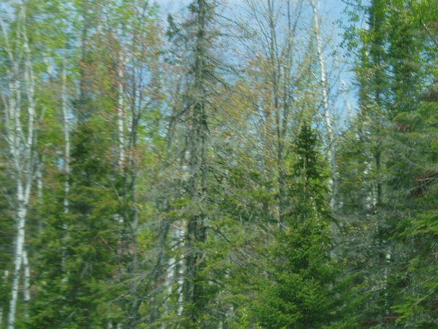 click to see full size