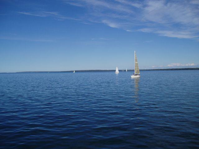 click to see full size