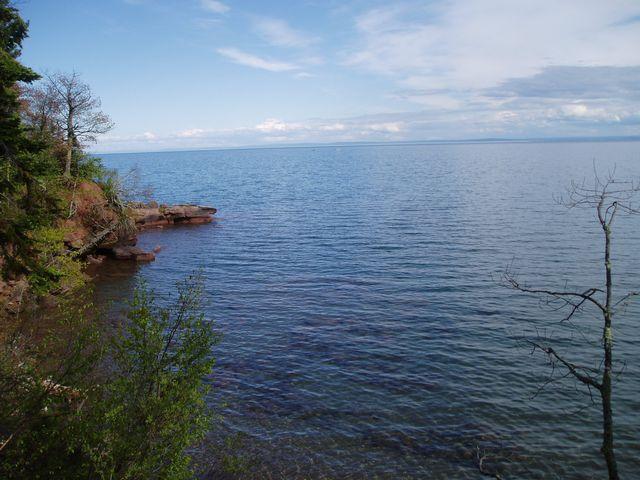 click to see full size