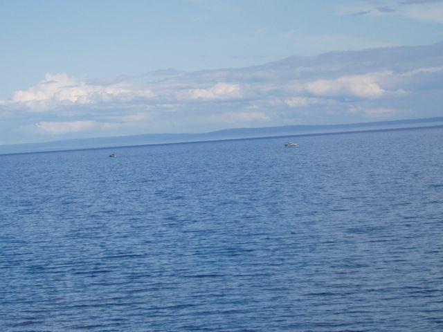 click to see full size