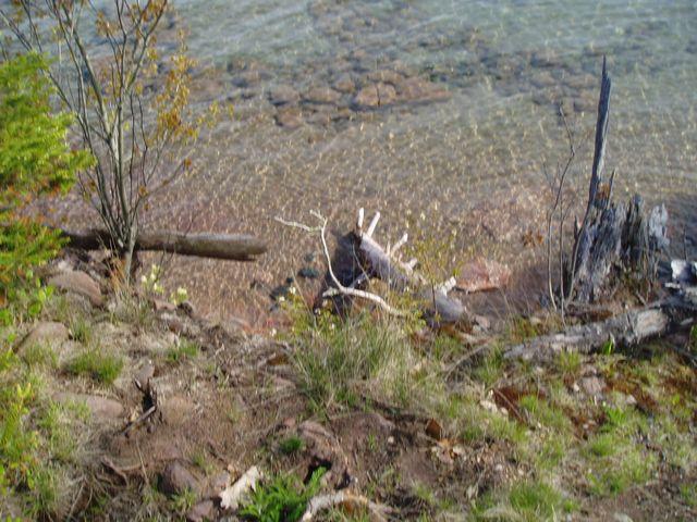 click to see full size