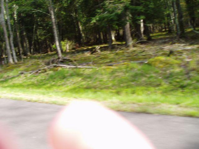 click to see full size