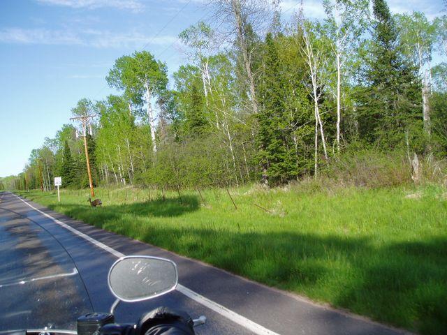 click to see full size