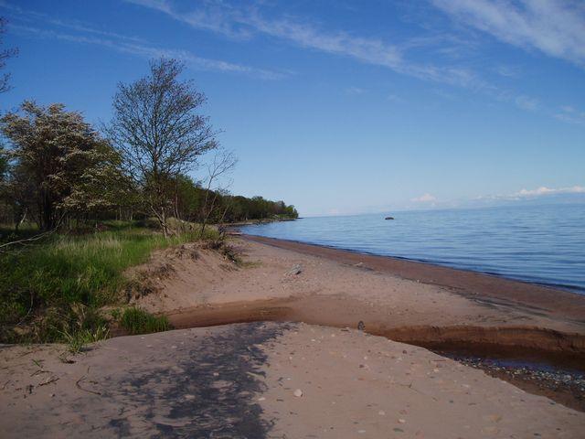 click to see full size